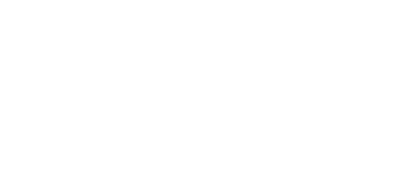 AFEM logo 1